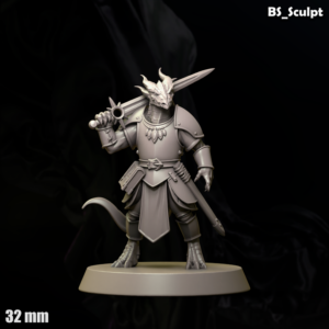 Dragonman Paladin