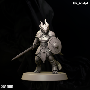 Dragonman Fighter