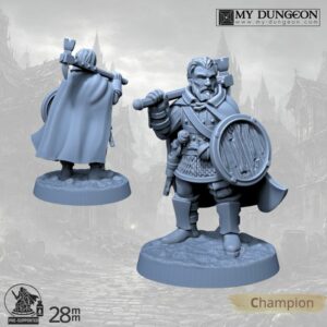 Champion – Warhammer & Shield