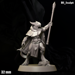 Dragonman Wizard