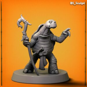 Turtle Coach