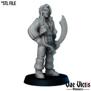 Capitaine Elf Pirate